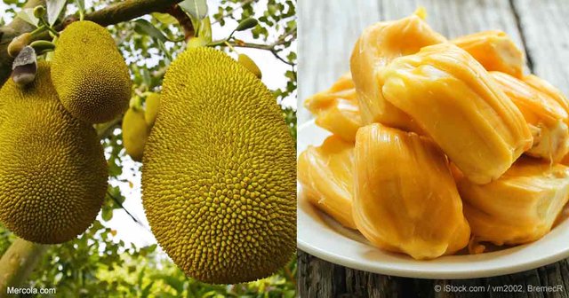 jackfruit-fb.jpg