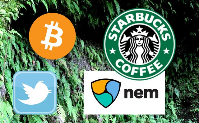 krypto-starbucks-bitcoin-news.jpg