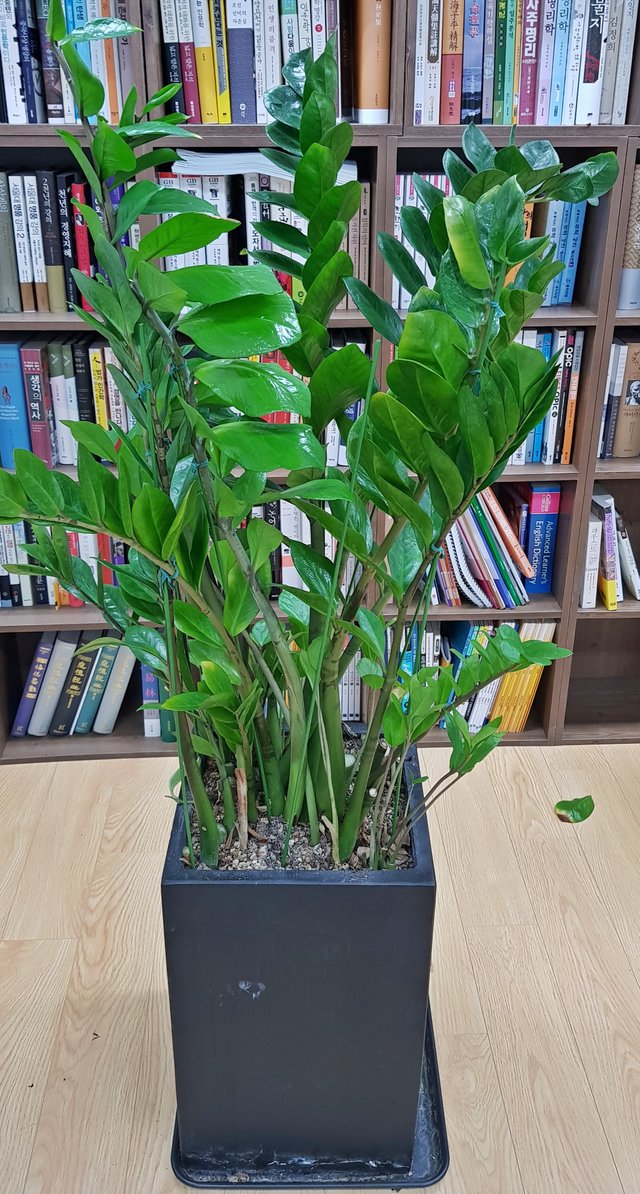 20180316_140616.jpg
