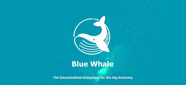 FBHeaderBlueWhale.jpg