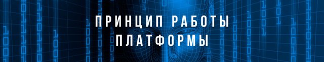 Принцип работы платформы.jpg