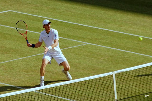 Flickr_-_Carine06_-_Andy_Murray_(3).jpg