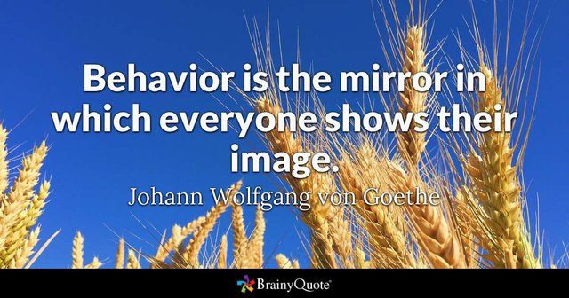 behaviour is the mirror.jpg