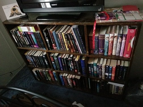 book shelf.jpg