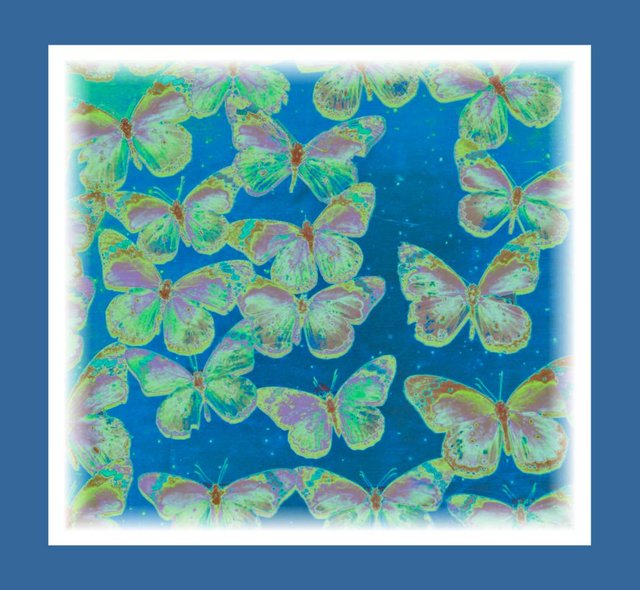 butterflies blu green.jpg