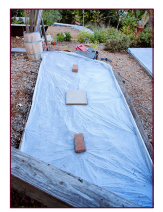 soil solarization raised bed.png