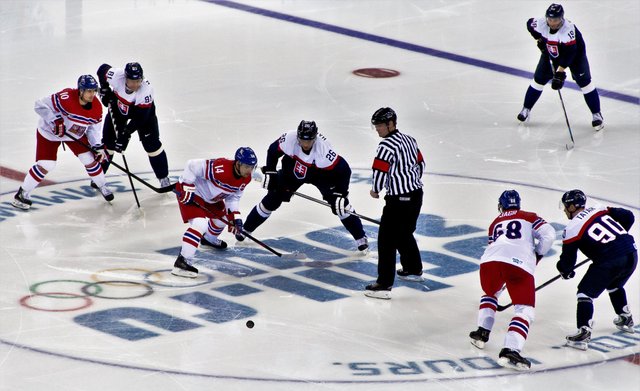 Ice_hockey_at_the_2014_Winter_Olympics_–_Men's_tournament_Czech_Republic_vs_Slovakia.jpg