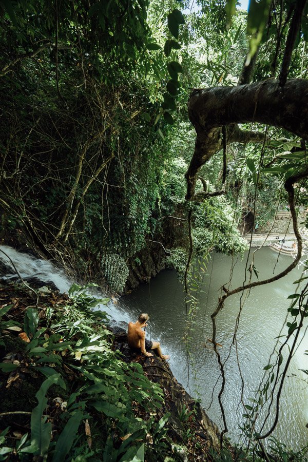 taktak-waterfall-siargao-02034.jpg