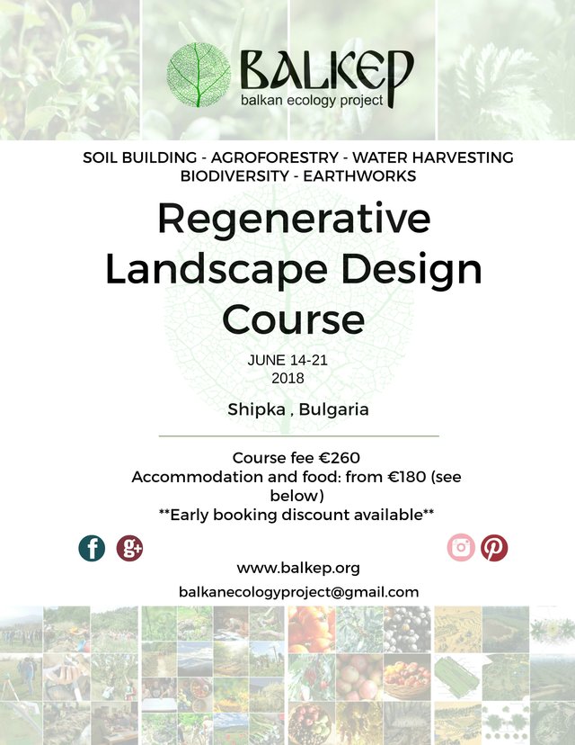 Permaculture_Balkan_Ecology_Project_regenerative_landscape_design_course.jpg