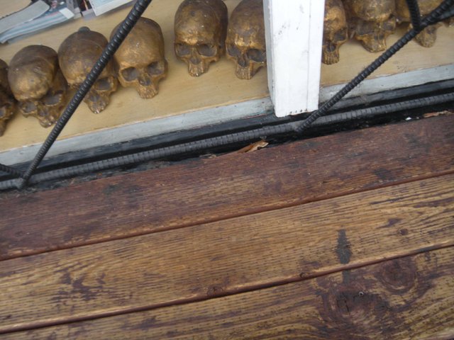 skulls_storeWindow.jpg