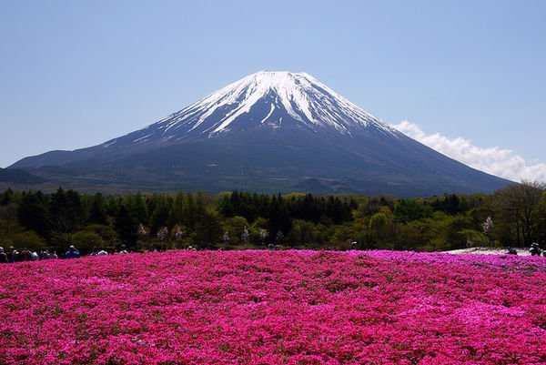 best-places-to-photograph-mount-fuji-1030.jpg