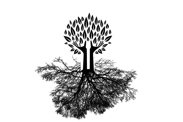 tree-2972896_1920.png