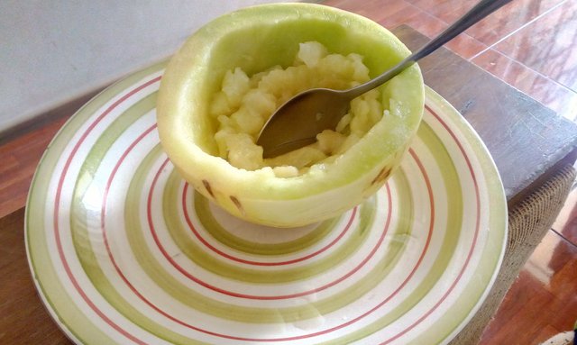 melon 2.jpg