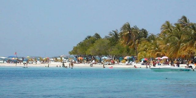 morrocoy1-700x350.jpg