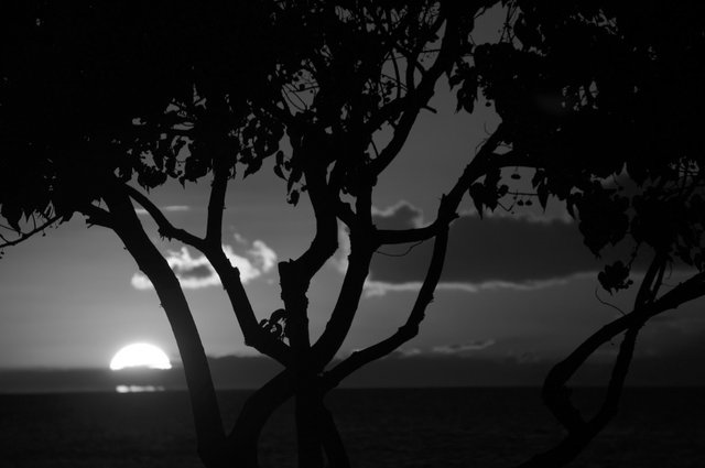 MauiSunset2_BW.jpg