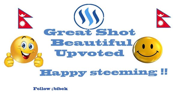 Steemit_great_shot.jpg