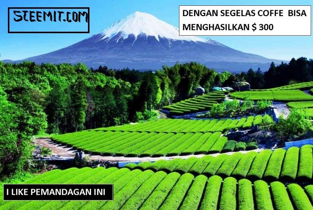 PEMANDANGAN YANG INDAH.jpg