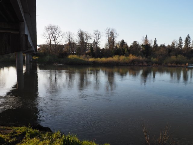 P1010512.JPG