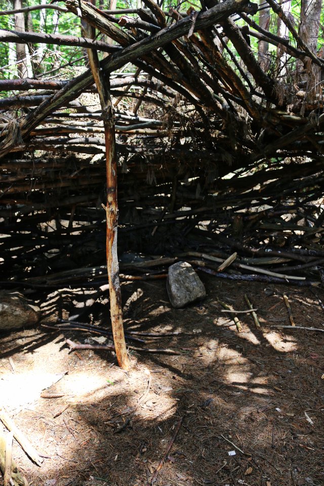 inside tree house.jpg