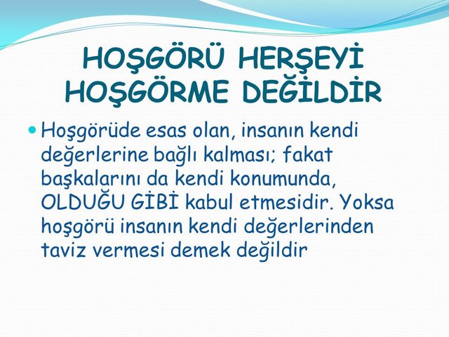 HOŞGÖRÜ+HERŞEYİ+HOŞGÖRME+DEĞİLDİR.jpg