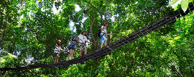 splash_recreational_canopy_01.jpg