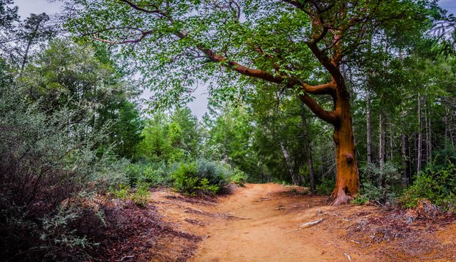 DSC_4624-HDR-Pano.jpg