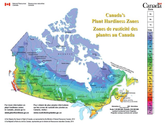 Plant Hardiness Zone Chart