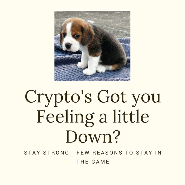 Crypto Market making you sad-.png