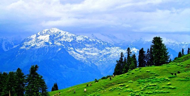 awesome-view-paye-meadows-kaghan-valley-kpk-pakistan-comesee-explore-stunning-exotic-beauty-within-befittig-tributes-to-ptdc-sokv-1367573074_org.jpg