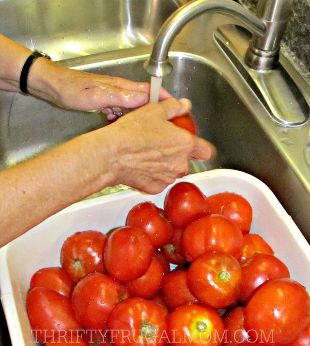 How-to-Can-Diced-Tomatoes-washing.jpg