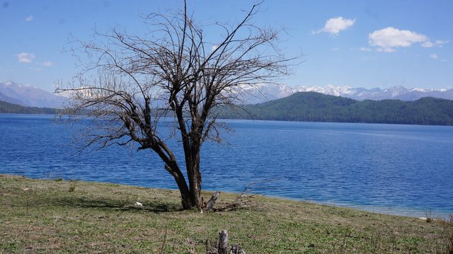 Lake rara In Spring