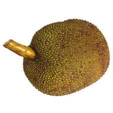 breadfruit.jpg