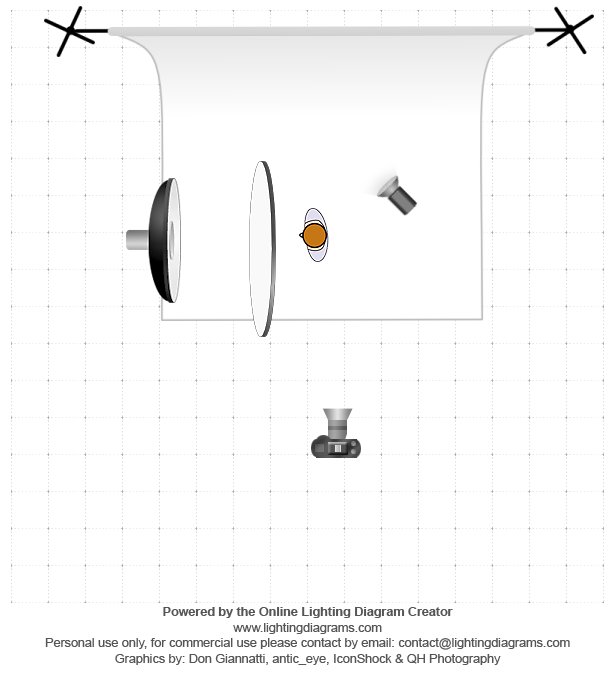 lighting-diagram-1516149430.png