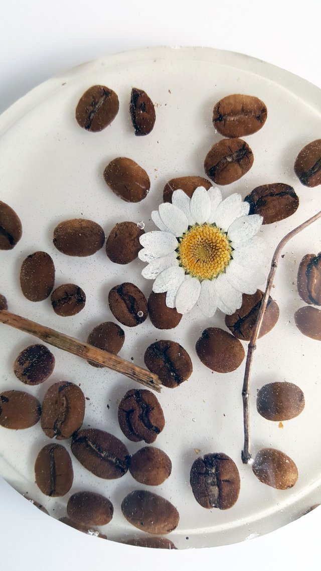 coffee_bean_coaster_closeup.jpg