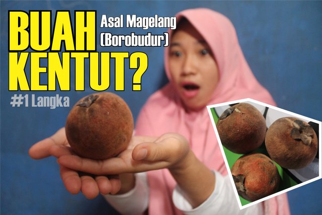 01 BUAH KENTUT.jpg