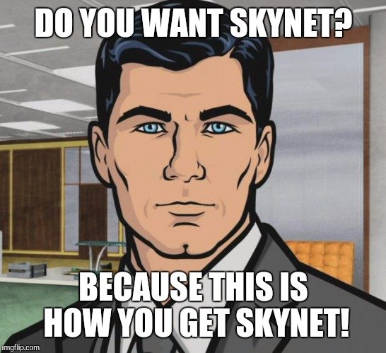 skynet funny.jpg