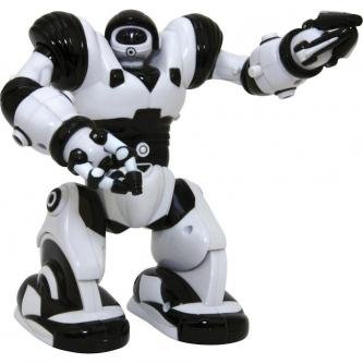 ar-mini-robosapien-wowwee-1282.jpg