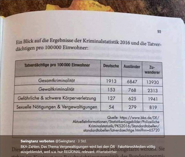 bka kontrollverlust statistik ausländer.jpg