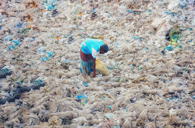 plastic-crisis-impact-on-wildlife-national-geographic-june-issue-cover-20-5afd85026633b__880.jpg