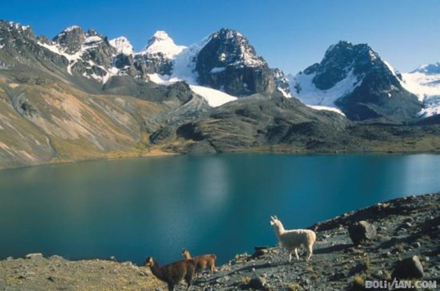 LAGO TITICACA.jpg