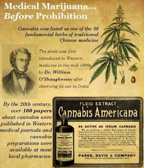 Medical Marijuana before Prohibition.jpg