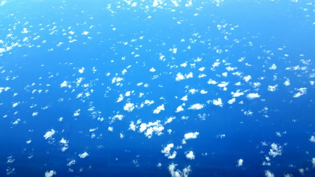 2015-07-29 19.00.51.jpg