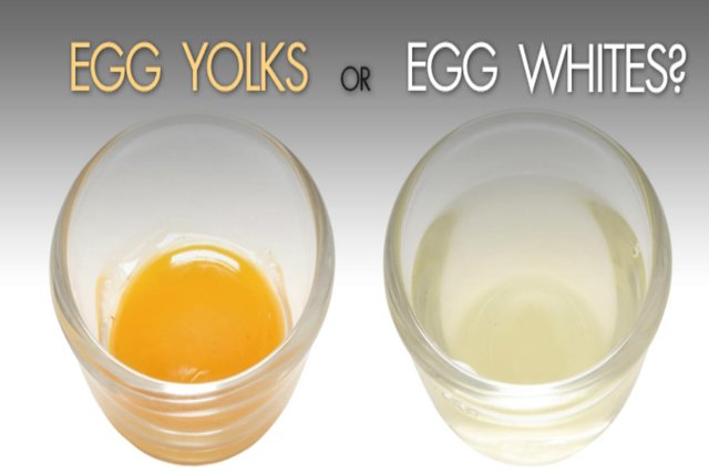 egg-yolks.jpg