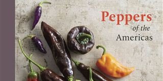 170815-peppers_of_the_americas-peppers_cvr-latino-1146a_40aa6bf4f86e9e194a61eb88d16fbe26.focal-320x160.jpg