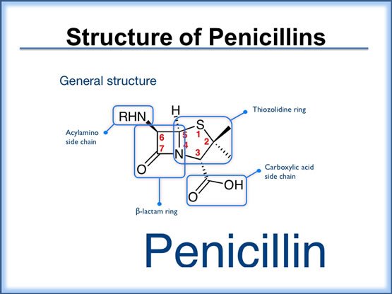 structure-of-penicillins.jpg