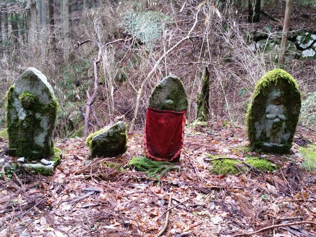 20180408_092901.jpg