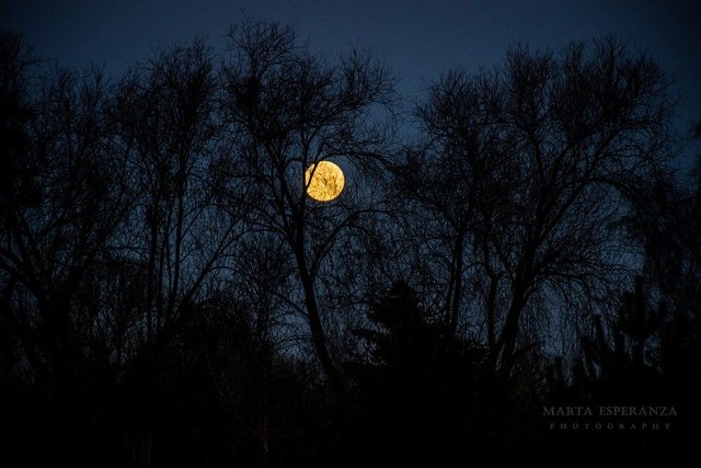 DSC_0024.jpg