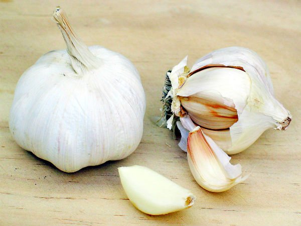 puting garlic on penis Best milf movie