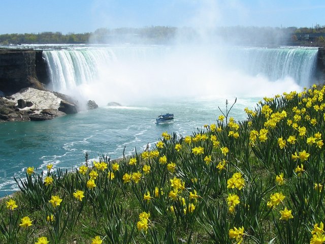 niagara-falls-418125_960_720.jpg