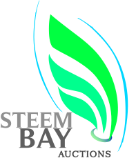 STEEM BAYS.png